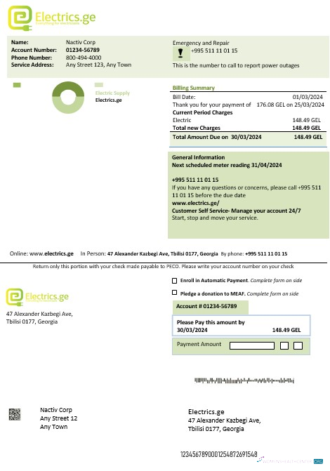 Editierbare Georgien Electrics.ge Strom Geschäftlich Bill Vorlage in Word und PDF Formats1