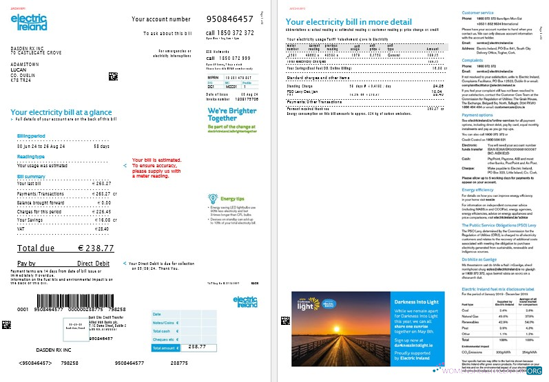 Professionelle Irland Electric Irland Geschäftlich Nebenkostenabrechnung Vorlage in Word und PDF Formats, 2 Seiten