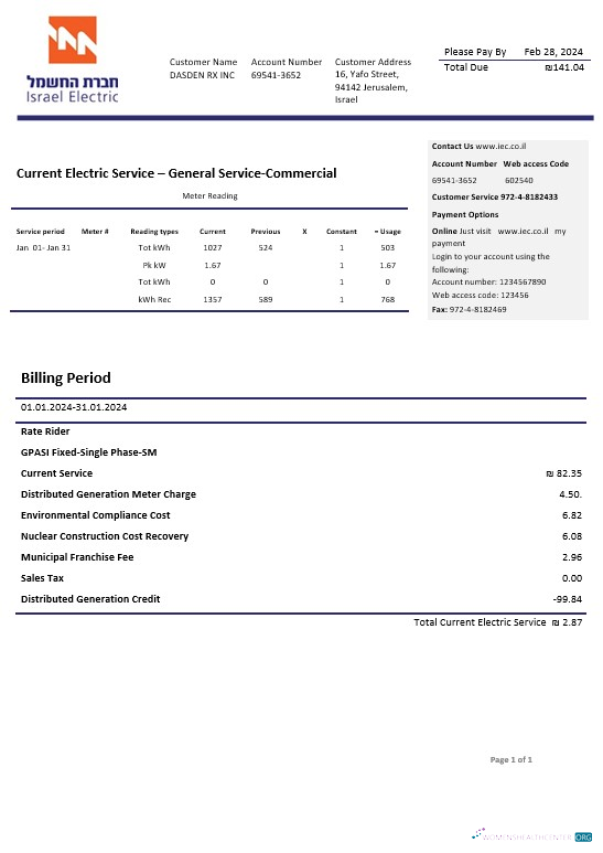 Premium Israel Electric Konzern Geschäftlich Nebenkostenabrechnung Vorlage in Word und PDF Formats