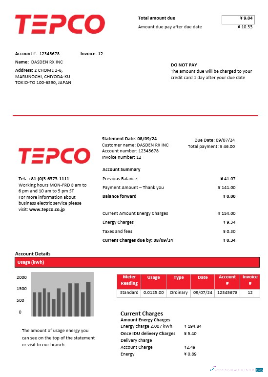 Professionelle Japan Tokyo Electric Power Unternehmen Strom Geschäftlich Nebenkostenabrechnung Vorlage in Word und PDF Format