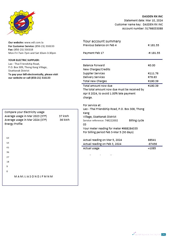 Professionelle Laos Electricite Du Laos Strom Geschäftlich Nebenkostenabrechnung Vorlage in Word und PDF Formats