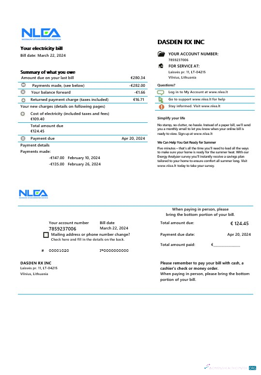 Editierbare Litauen National Lithuanian Energy Association Geschäftlich Nebenkostenabrechnung Word und PDF Vorlage