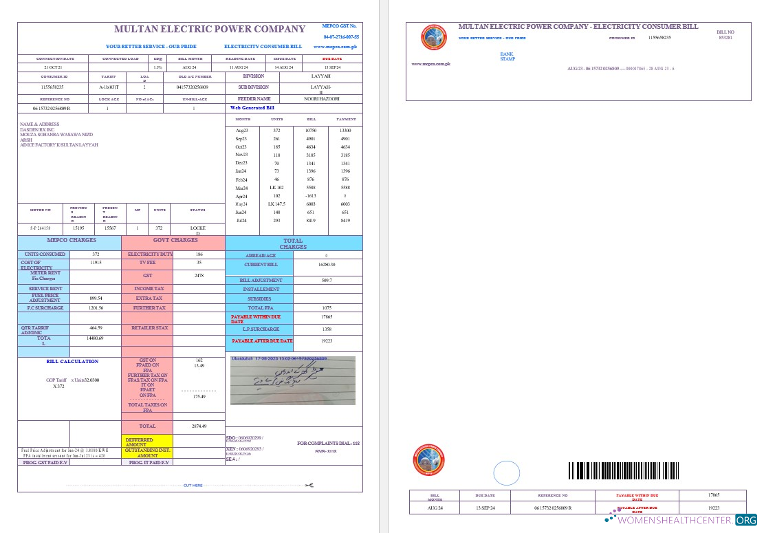 Premium Pakistan MULTAN ELECTRIC POWER Geschäftlich Nebenkostenabrechnung Word und PDF Vorlage, Version 2