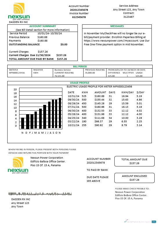 Hochwertige Panama Nexsun Power Konzern Strom Geschäftlich Nebenkostenabrechnung Word und PDF Vorlage