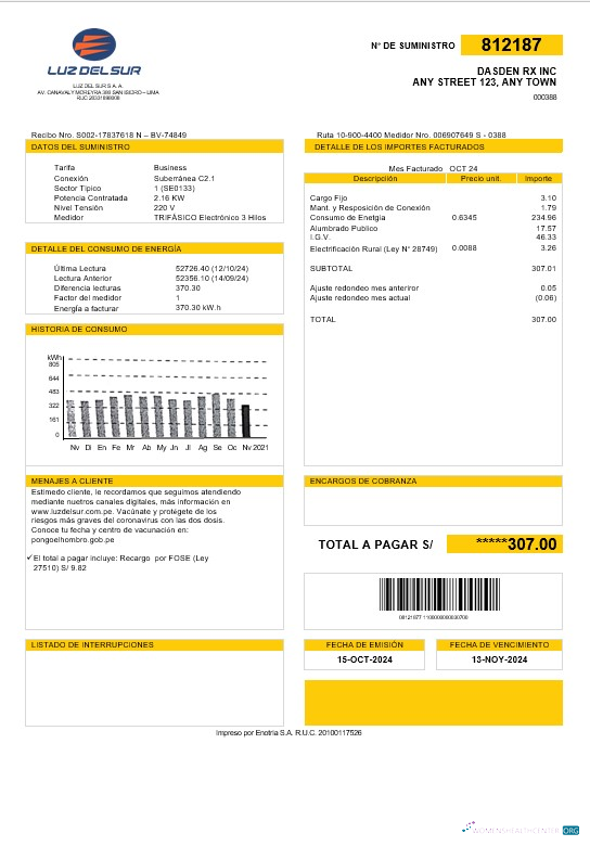 Premium Peru Luz de Sur Geschäftlich Nebenkostenabrechnung Vorlage in Word und PDF Formats, Fully Editable