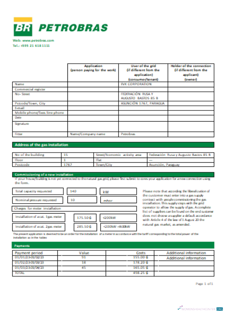 Petrobras Paraguay Operations und Logistics Gas Unternehmen Utility Geschäftlich Bill, SCR vorlage