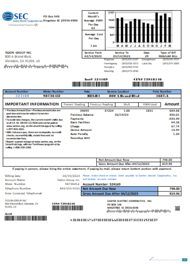 Santee Electric Cooperative Inc (SEC) Nachweis von Adresse Utility Geschäftlich Bill, SCR vorschau