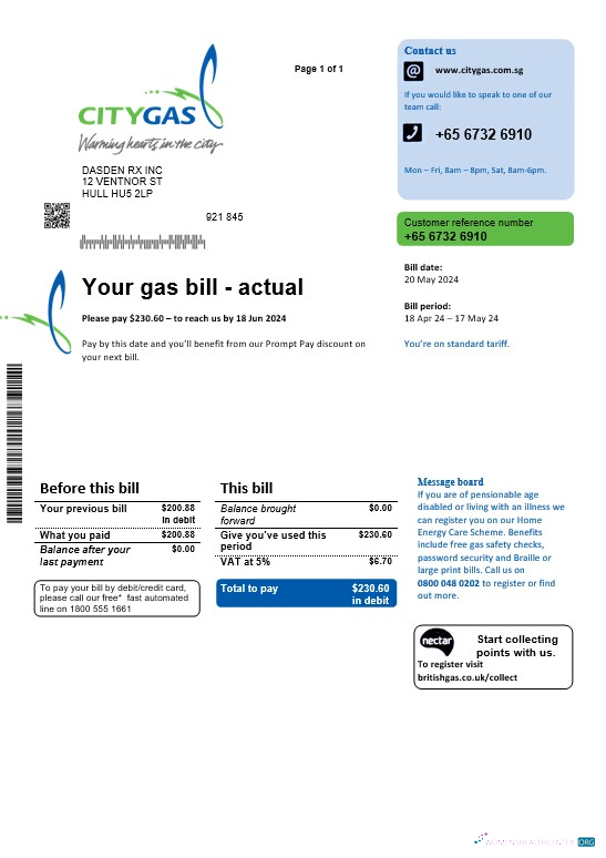Premium Singapur Stadt Gas Geschäftlich Nebenkostenabrechnung Vorlage, Fully Editable in PSD Formats