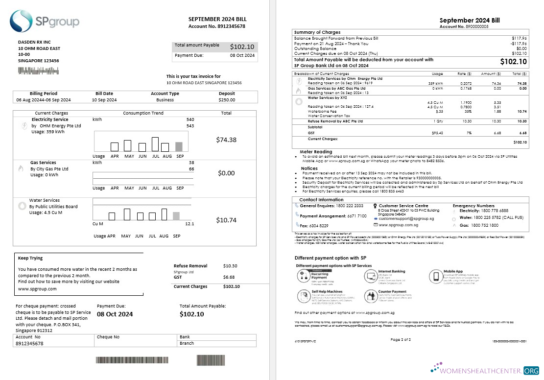 Professionelle Singapur SP Group Geschäftlich Nebenkostenabrechnung Vorlage in Word und PDF Formats (2 Seiten)