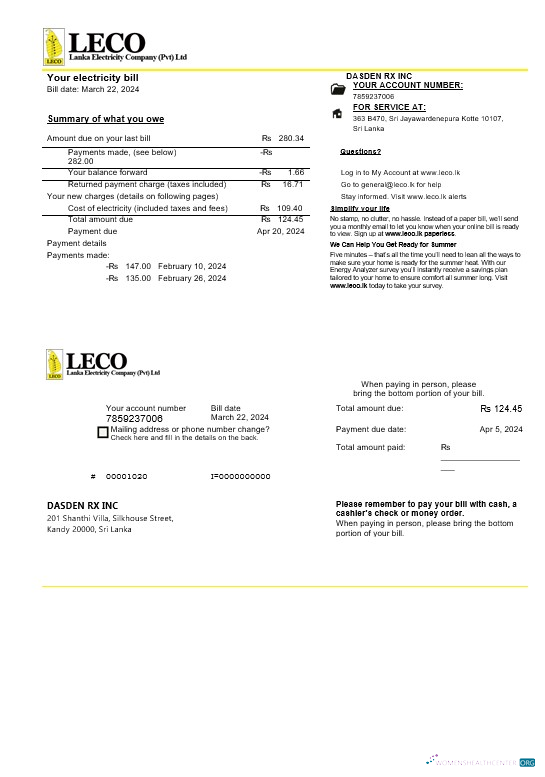 Premium Sri Lanka LECO Unternehmen Strom Geschäftlich Nebenkostenabrechnung Vorlage in Word und PDF Formats