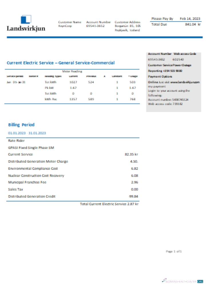 The National Power Unternehmen von Insel Landsvirkjun Strom Utility Geschäftlich Bill, SCR vorlage