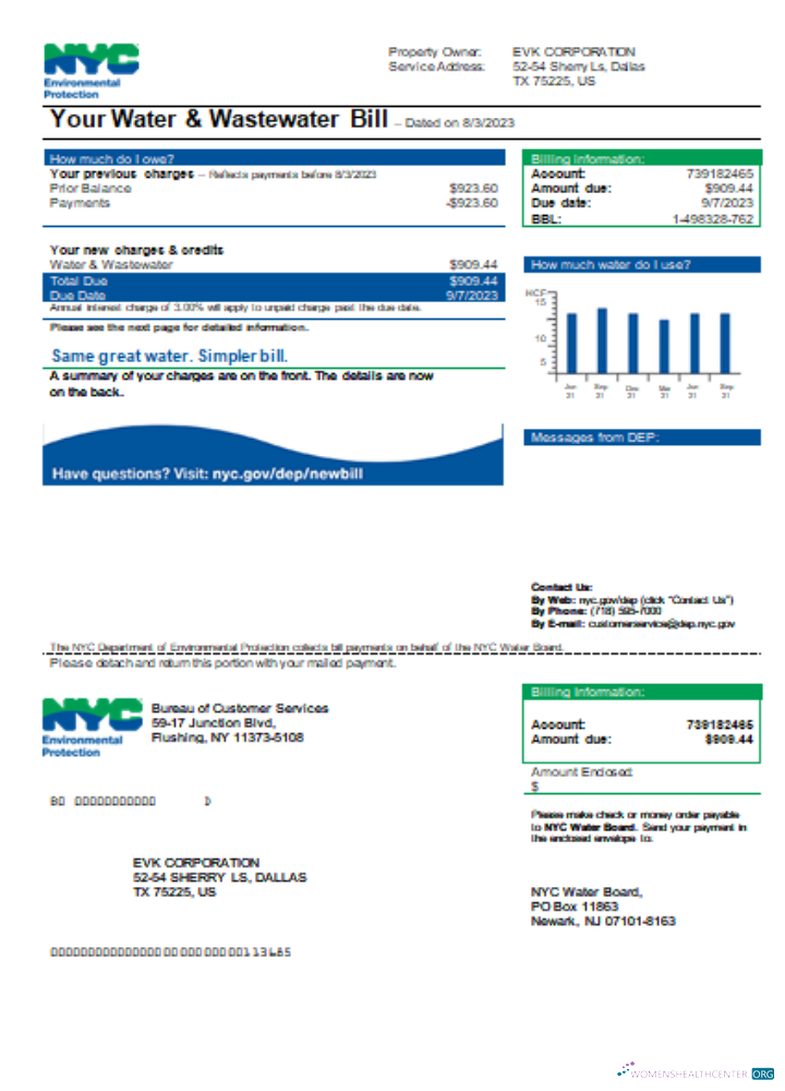 The Neu York Stadt Abteilung von Environmental Protection (DEP) Utility Geschäftlich Bill SCR modell