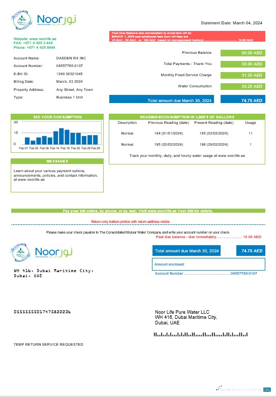 Realistische UAE Noor Life Pure Wasser LLC Geschäftlich Nebenkostenabrechnung Vorlage in Word und PDF Formats