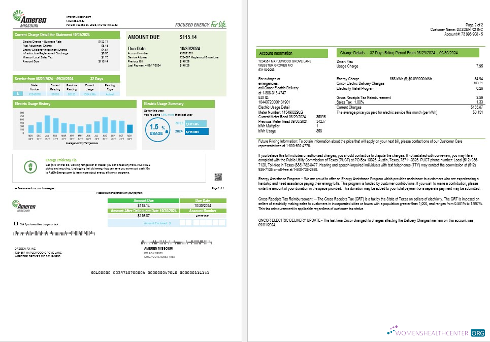 Hochwertige USA Ameren Missouri Strom Geschäftlich Nebenkostenabrechnung Vorlage in Word und PDF Formats (2 Seiten)