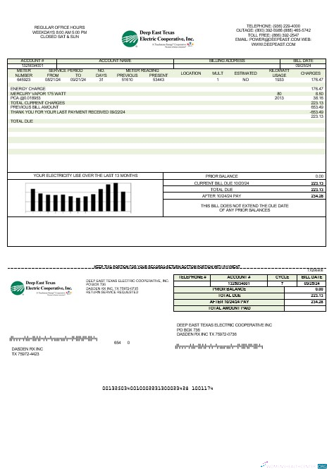 Professionelle USA Deep Ost Texas Electric Geschäftlich Nebenkostenabrechnung Vorlage in Word und PDF Formats