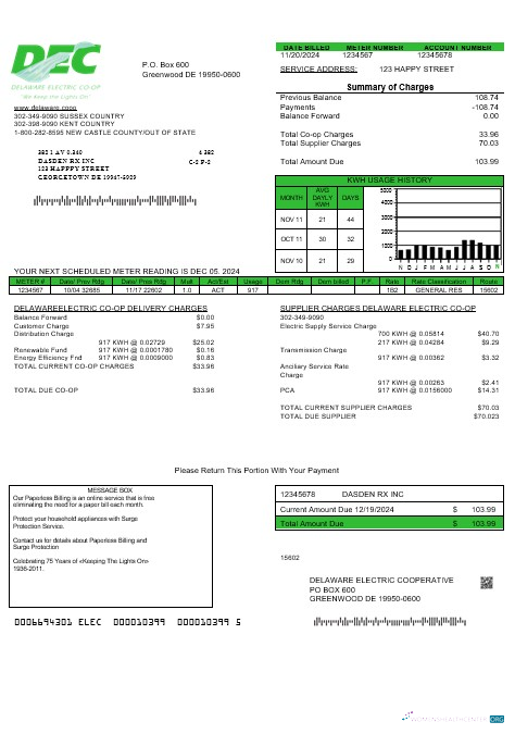 Realistische USA Delaware Electric Co Op Geschäftlich Nebenkostenabrechnung Vorlage in Word und PDF Formats
