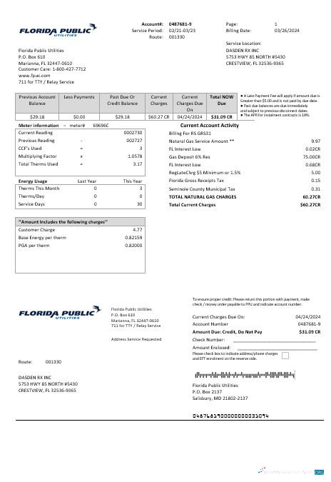 Editierbare USA Florida Öffentlich Utilities Geschäftlich Nebenkostenabrechnung Vorlage in Word und PDF Formats