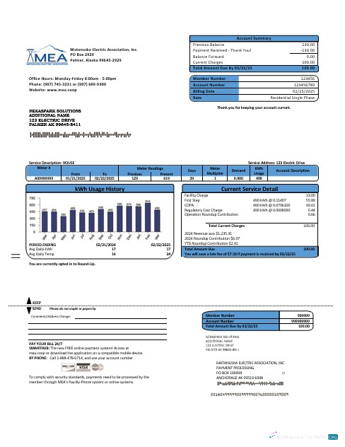 Professionelle USA MEA Alaska Strom Geschäftlich Nebenkostenabrechnung Vorlage in Word und PDF Formats