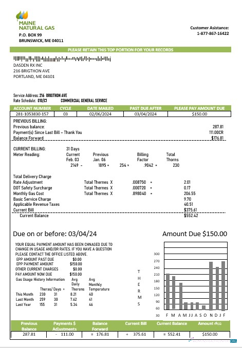 Premium USA Maine Natural Gas Portland Geschäftlich Nebenkostenabrechnung Vorlage in Word und PDF Formats