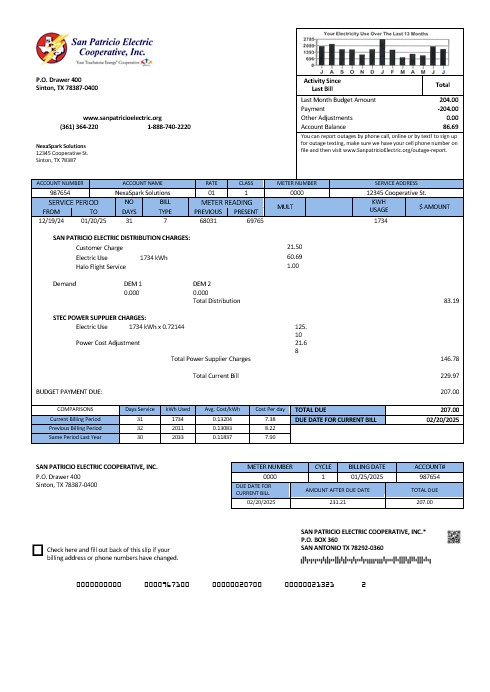 Editierbare USA Texas San Patricio Electric Corporative Geschäftlich Nebenkostenabrechnung Vorlage in Word und PDF Formats