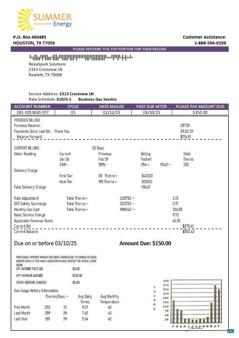 Premium USA Texas Summer Energy Easy Fillable Geschäftlich Nebenkostenabrechnung Vorlage in Word und PDF Formats