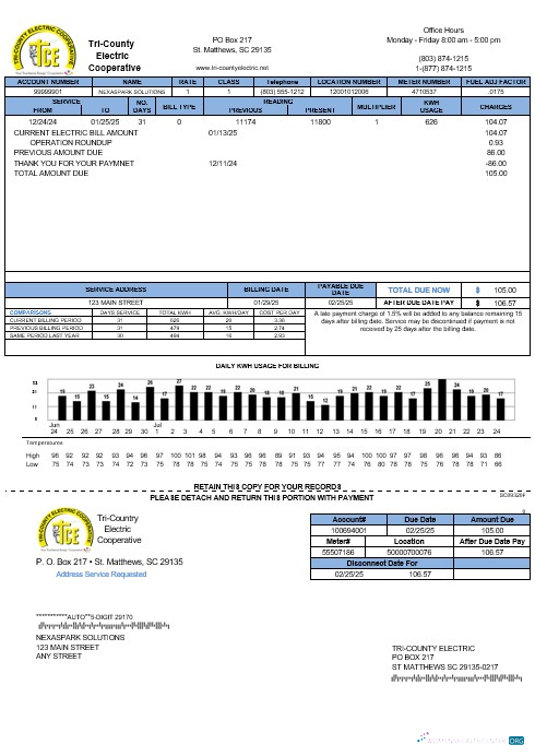 Hochwertige USA Tri County Electric Cooperative Geschäftlich Nebenkostenabrechnung Vorlage in Word und PDF Formats