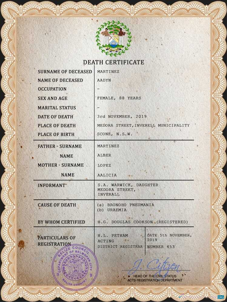 Редактируемый Скачать Белиз Death Certificate PSD Шаблон Photoshop Шаблон