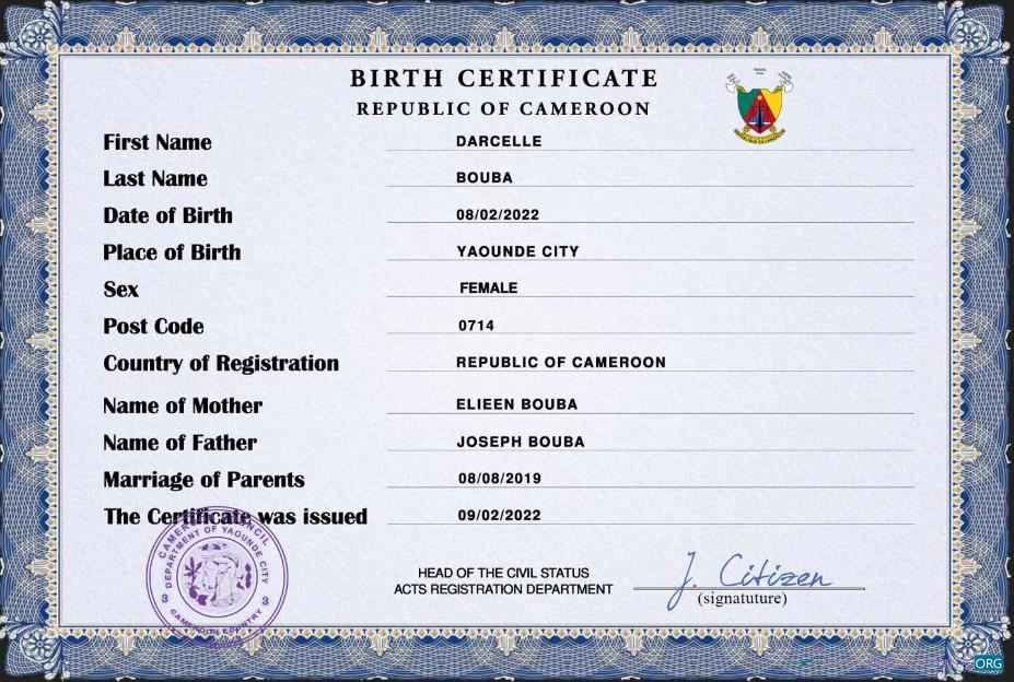 Качественный Скачать Камерун Vital Record Birth Certificate PSD Шаблон Photoshop Шаблон