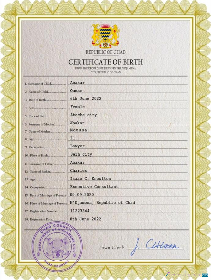 Профессиональный Скачать Чад Vital Record Birth Certificate PSD Шаблон Photoshop Шаблон