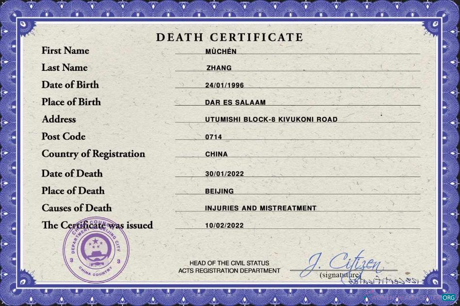 Профессиональный Скачать Китай Death Certificate PSD Шаблон Photoshop Шаблон
