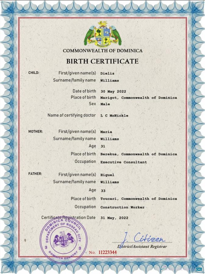 Реалистичный Скачать Доминика Vital Record Birth Certificate PSD Шаблон Photoshop Шаблон