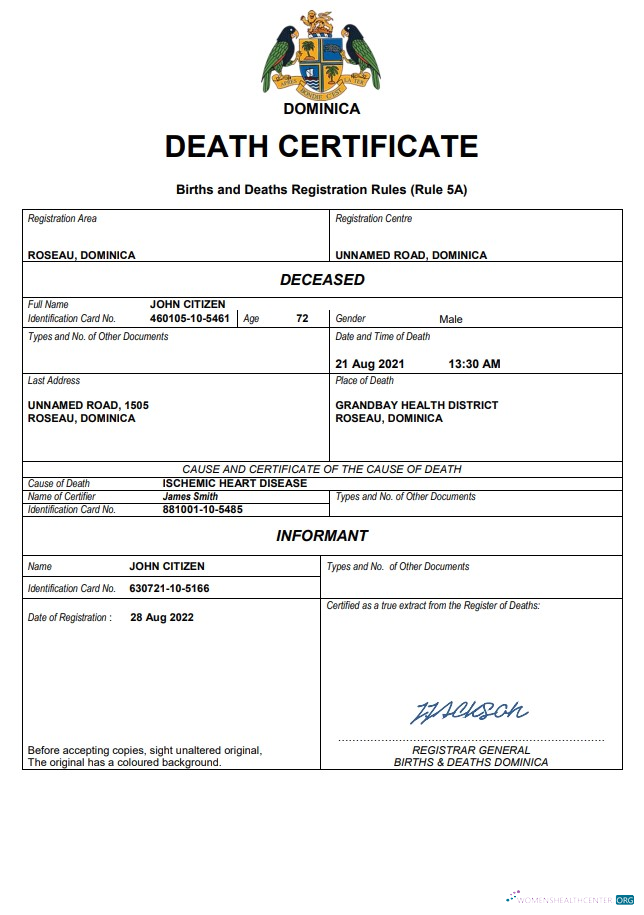 Профессиональный Скачать Доминика Vital Record Death Certificate Word и PDF Шаблон Photoshop Шаблон