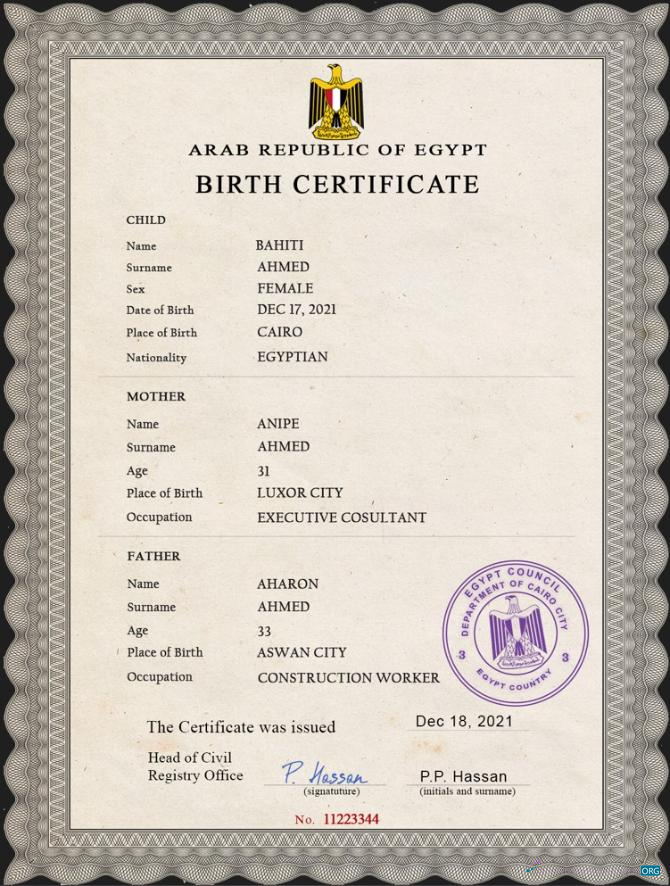 Качественный Скачать Египет Vital Record Birth Certificate PSD Шаблон Photoshop Шаблон