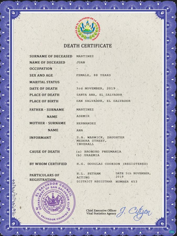 Реалистичный Скачать Сальвадор Vital Record Death Certificate PSD Шаблон Photoshop Шаблон