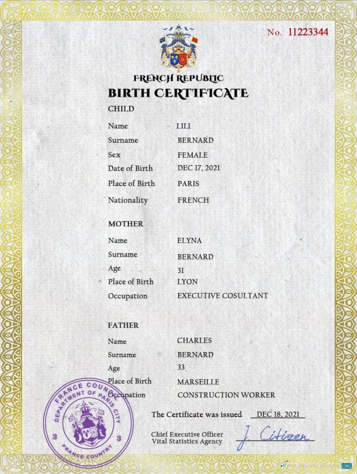 Качественный Скачать Франция Vital Record Birth Certificate PSD Шаблон Photoshop Шаблон