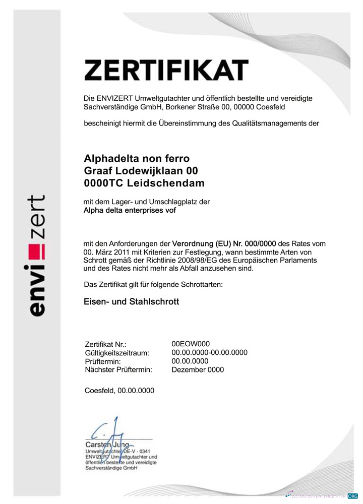 Качественный Скачать Германия Envizert GmbH Zertifikat Certificate PSD Photoshop Шаблон