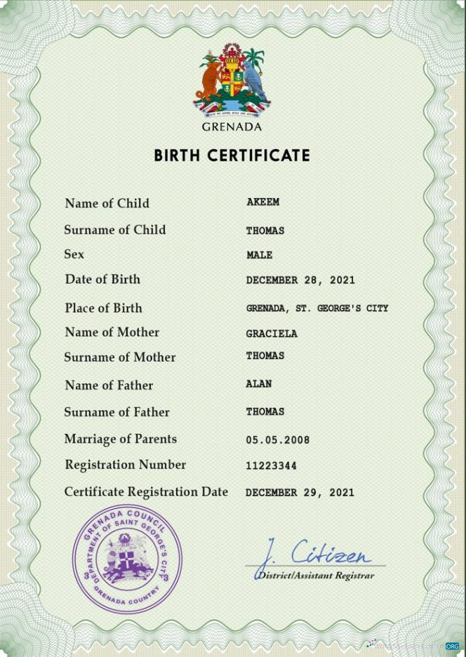 Реалистичный Скачать Гренада Vital Record Birth Certificate PSD Шаблон Photoshop Шаблон