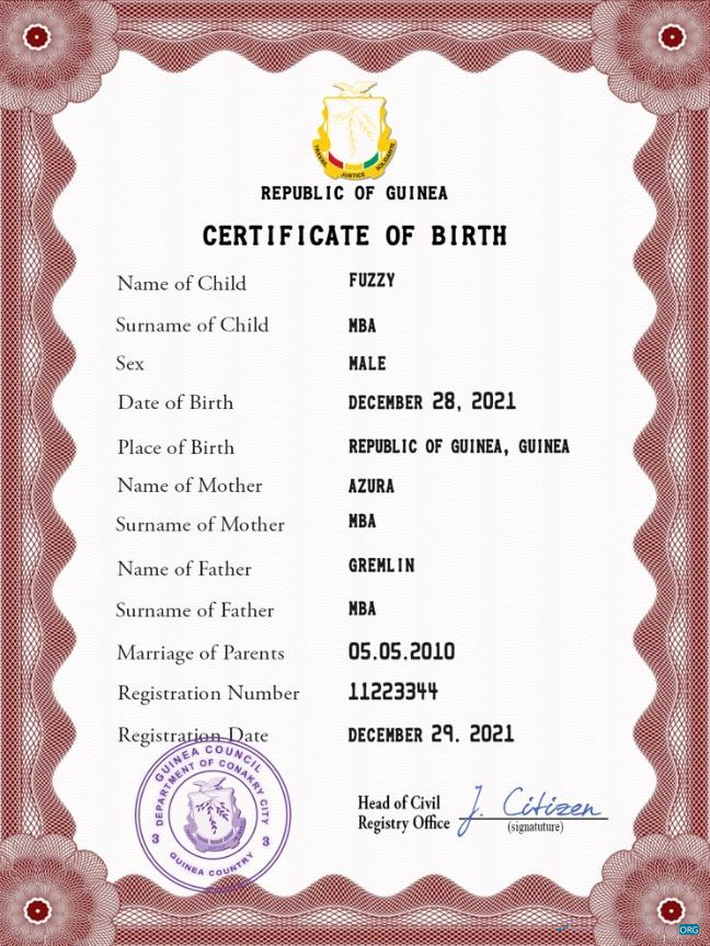 Премиум Скачать Гвинея Vital Record Birth Certificate PSD Шаблон Photoshop Шаблон