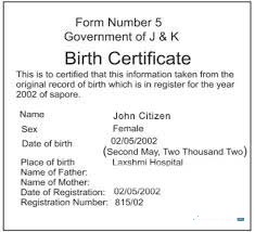 Реалистичный Скачать Индия Government J. & K. Birth Certificate Photoshop Шаблон