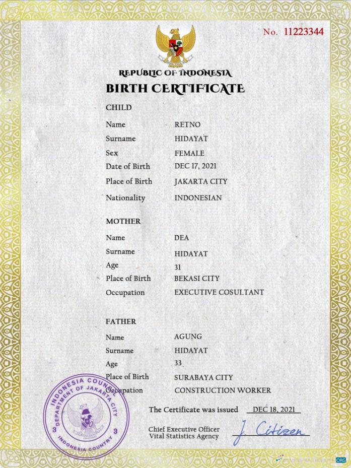 Реалистичный Скачать Индонезия Vital Record Birth Certificate PSD Шаблон Photoshop Шаблон