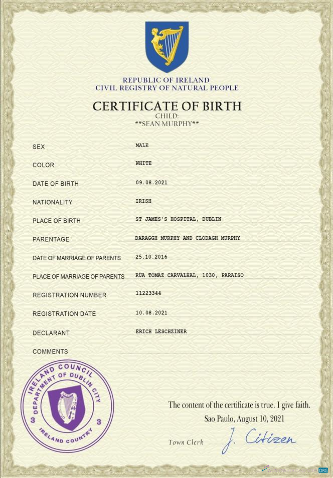 Реалистичный Скачать Ирландия Vital Record Birth Certificate PSD Шаблон Photoshop Шаблон