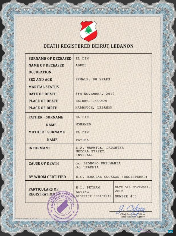 Профессиональный Скачать Ливан Vital Record Death Certificate PSD Шаблон Photoshop Шаблон