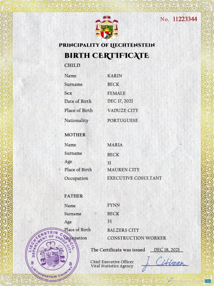 Реалистичный Скачать Лихтенштейн Vital Record Birth Certificate PSD Шаблон Photoshop Шаблон