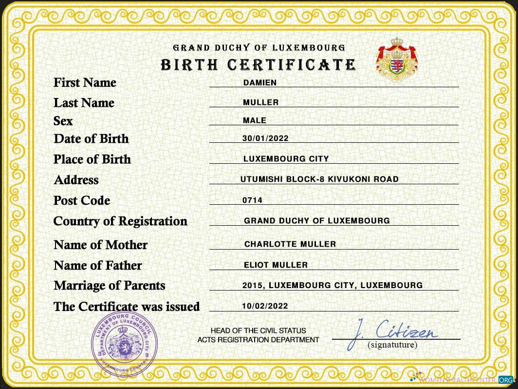Реалистичный Скачать Люксембург Vital Record Birth Certificate PSD Шаблон Photoshop Шаблон