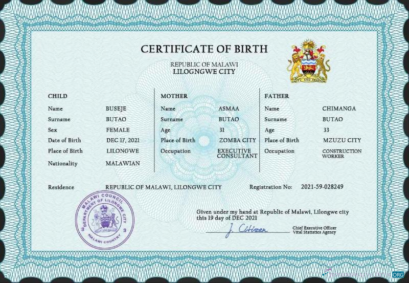 Редактируемый Скачать Малави Vital Record Birth Certificate PSD Шаблон Photoshop Шаблон