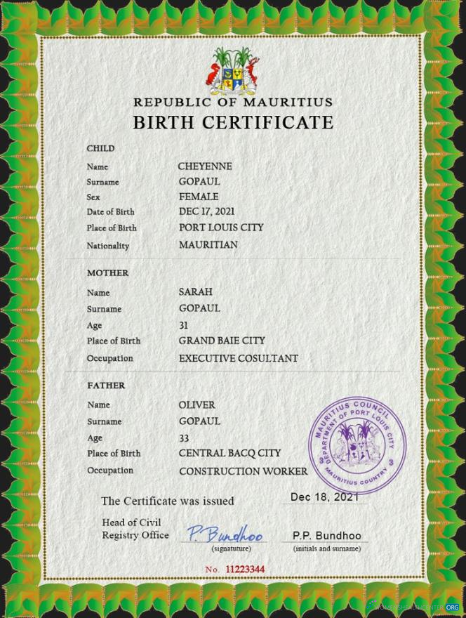 Редактируемый Скачать Маврикий Vital Record Birth Certificate PSD Шаблон Photoshop Шаблон