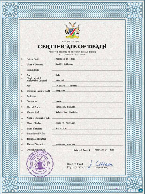 Профессиональный Скачать Намибия Vital Record Death Certificate PSD Шаблон Photoshop Шаблон