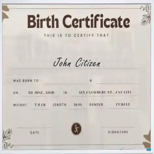 Профессиональный Скачать Новый York Certificate Birth Photoshop Шаблон