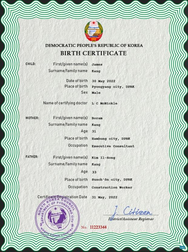 Премиум Скачать Северная Корея Birth Certificate PSD Шаблон Photoshop Шаблон