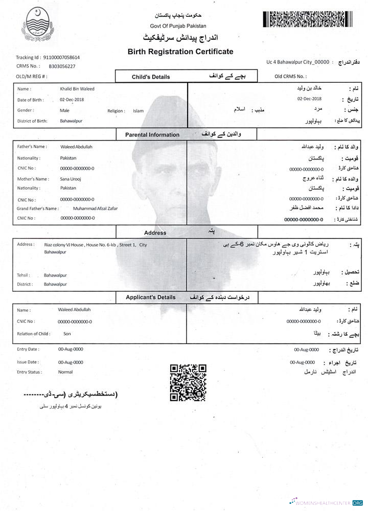 Реалистичный Скачать Пакистан Birth Registration Certificate Photoshop Шаблон